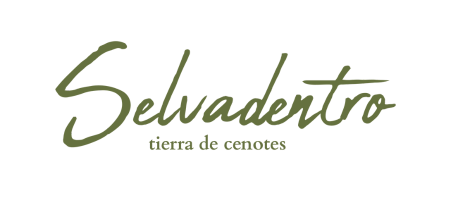 Selvadentro — tierra de cenotes